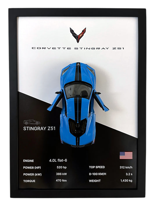 Corvette Stingray Z51 Frame – Black and White Background
